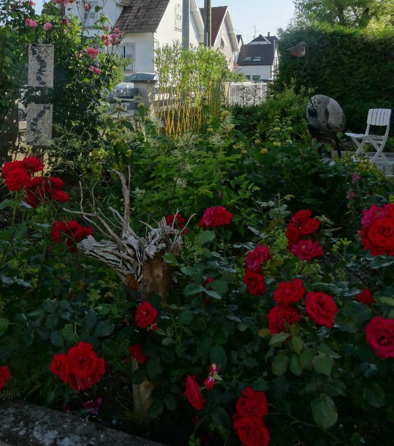 Gite Du Heron La Wantzenau Exteriér fotografie